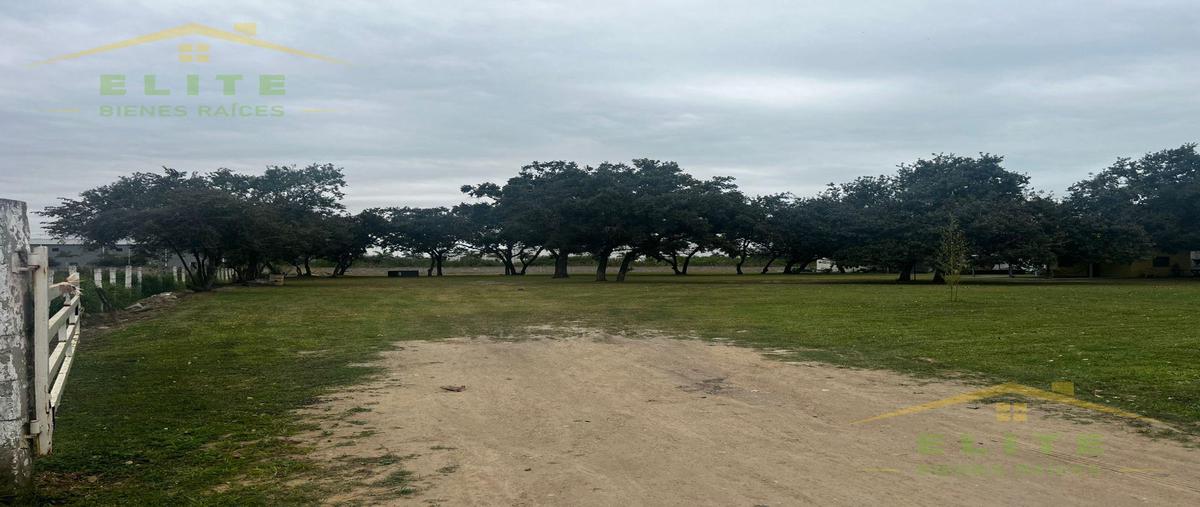 Foto de terreno habitacional en venta en  , jardines de arboledas, altamira, tamaulipas, 29208736 No. 03