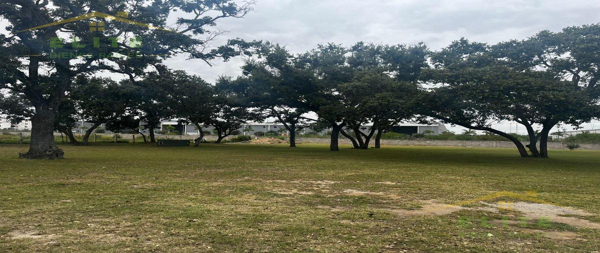 Foto de terreno habitacional en venta en  , jardines de arboledas, altamira, tamaulipas, 29208736 No. 05