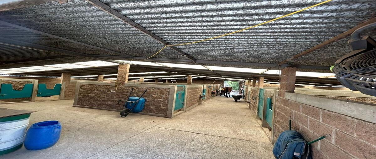 Foto de terreno habitacional en venta en  , jardines de atizapán, atizapán de zaragoza, méxico, 28135302 No. 04
