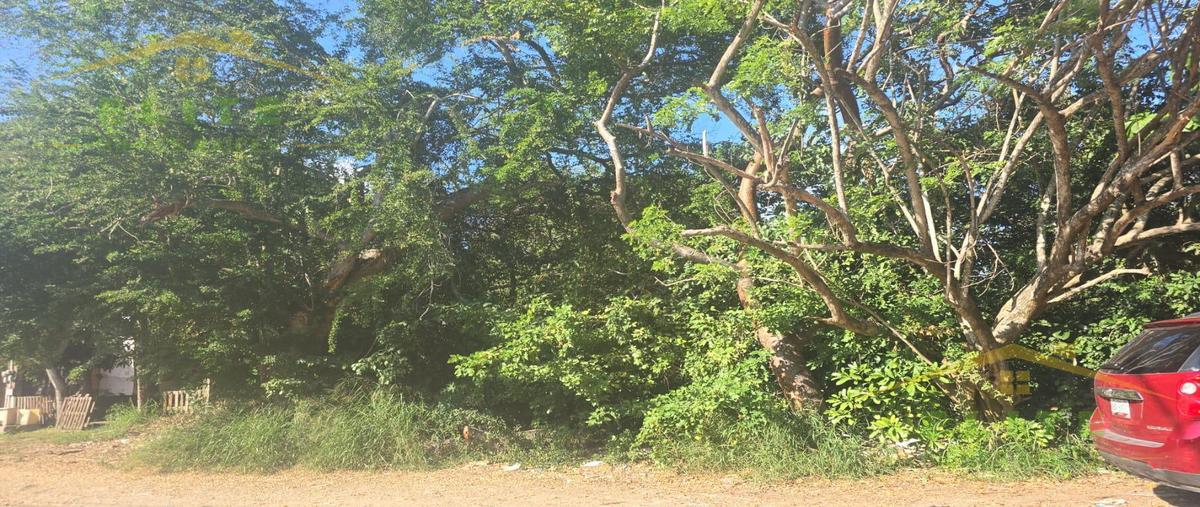 Foto de terreno habitacional en venta en  , jardines de champayan 1, tampico, tamaulipas, 0 No. 05