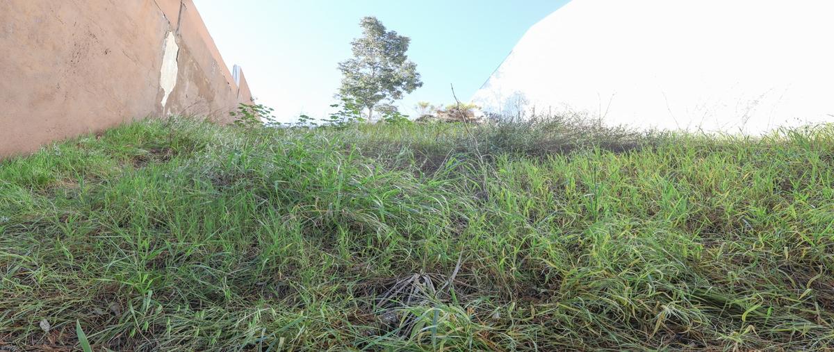 Foto de terreno habitacional en venta en  , jardines de chapultepec, tijuana, baja california, 30951572 No. 04