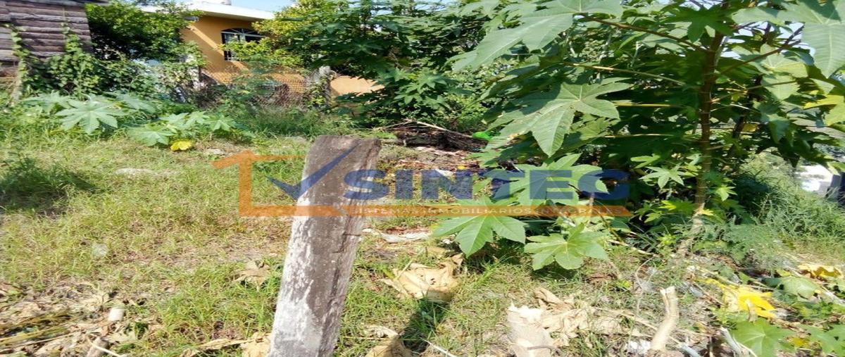 Foto de terreno habitacional en venta en  , jardines de coatzintla, coatzintla, veracruz de ignacio de la llave, 27820894 No. 04