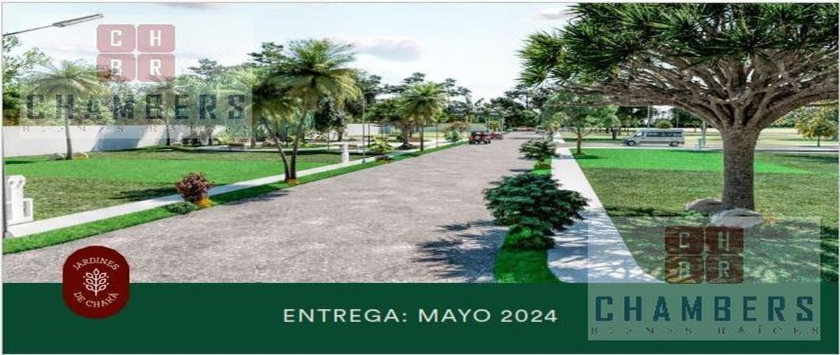 Foto de terreno habitacional en venta en  , jardines de conkal, conkal, yucatán, 0 No. 01