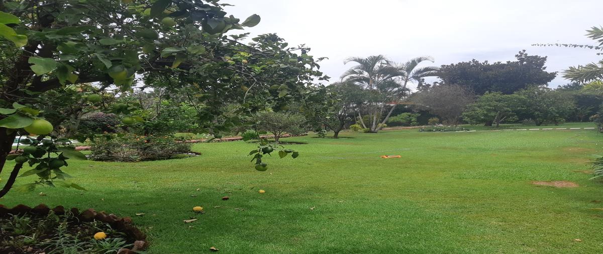 Foto de terreno habitacional en venta en  , jardines de delicias, cuernavaca, morelos, 23629034 No. 05