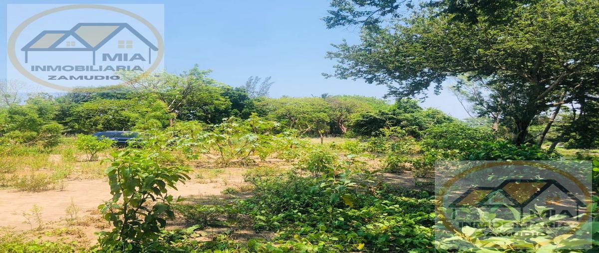 Foto de terreno habitacional en venta en  , jardines de dos bocas, medellín de bravo, veracruz de ignacio de la llave, 0 No. 05