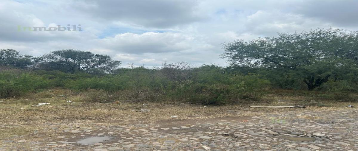 Foto de terreno habitacional en venta en  , jardines de la calera, tlajomulco de zúñiga, jalisco, 0 No. 03