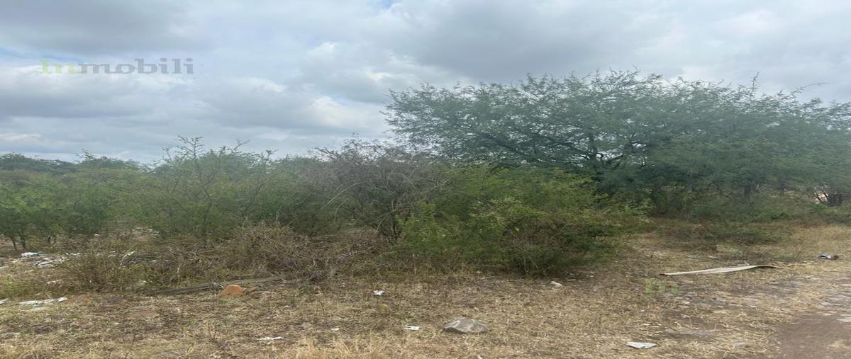 Foto de terreno habitacional en venta en  , jardines de la calera, tlajomulco de zúñiga, jalisco, 0 No. 04