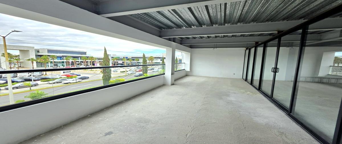 Foto de local en renta en  , jardines de la concepción, aguascalientes, aguascalientes, 0 No. 05