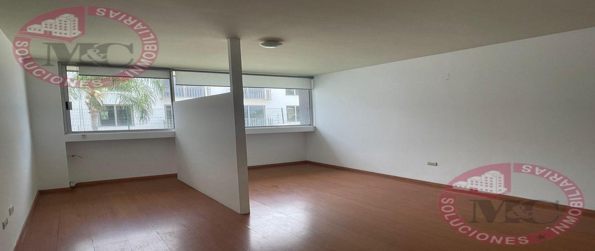 Foto de local en renta en  , jardines de la concepción, aguascalientes, aguascalientes, 0 No. 03