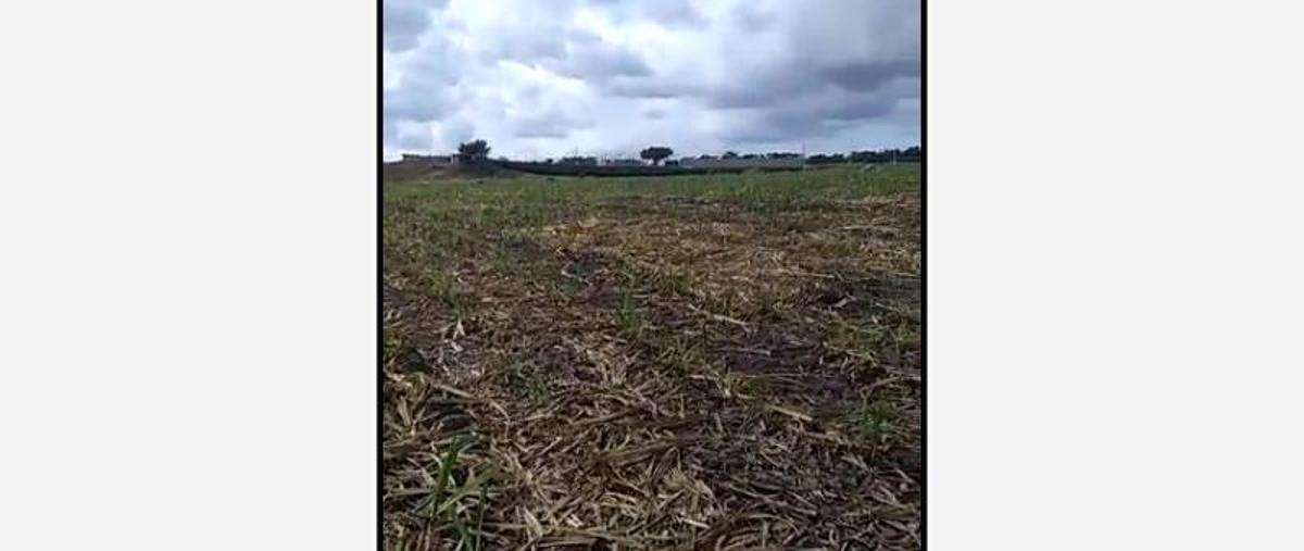 Foto de terreno comercial en venta en  , paseo de la cantera, colima, colima, 11914834 No. 01