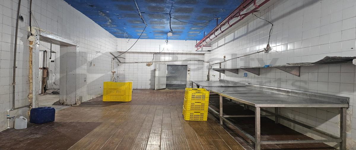 Foto de bodega en renta en  , jardines de la moderna, monterrey, nuevo león, 0 No. 03