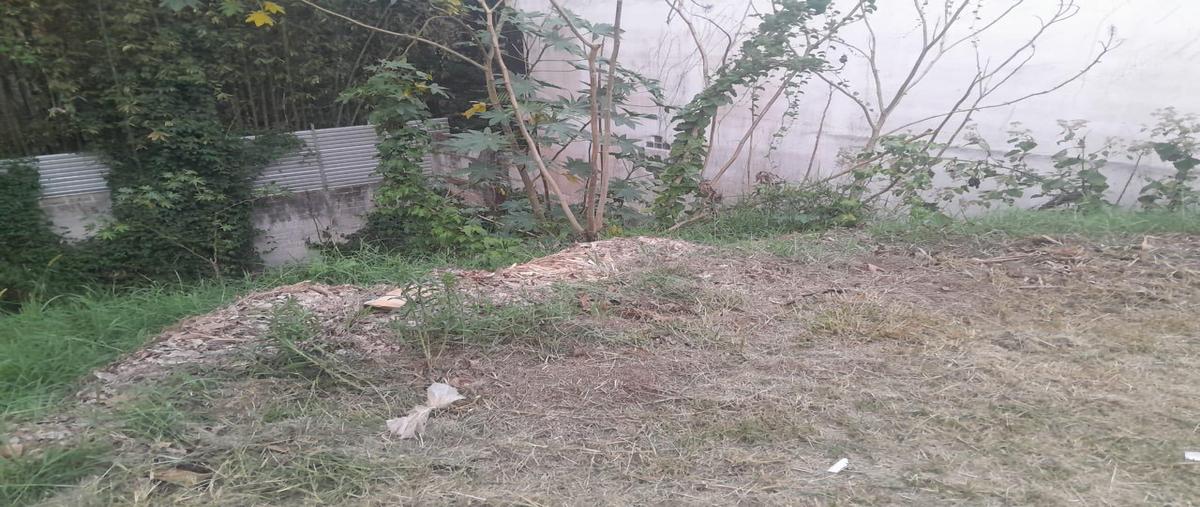 Foto de terreno habitacional en venta en  , jardines de las ánimas, xalapa, veracruz de ignacio de la llave, 0 No. 03