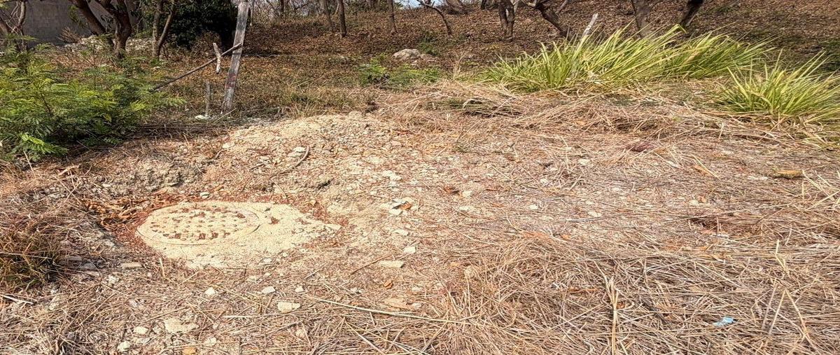 Foto de terreno habitacional en venta en  , jardines de mactumatza, tuxtla gutiérrez, chiapas, 31057820 No. 07