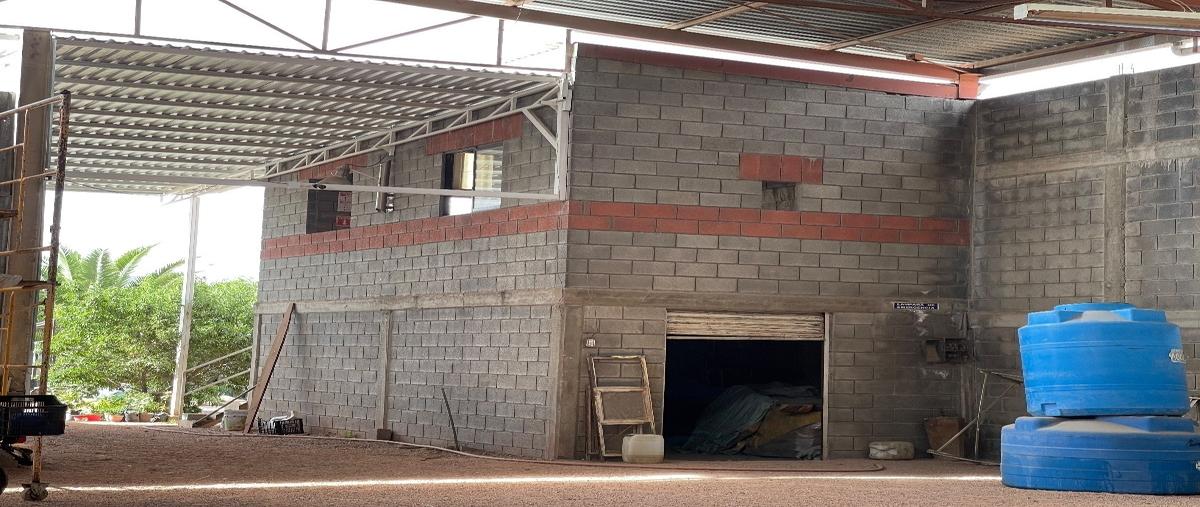 Foto de bodega en renta en jardines de maría cecilia, san luis potosí, san luis potosí , jardines de maría cecilia, san luis potosí, san luis potosí, 0 No. 04