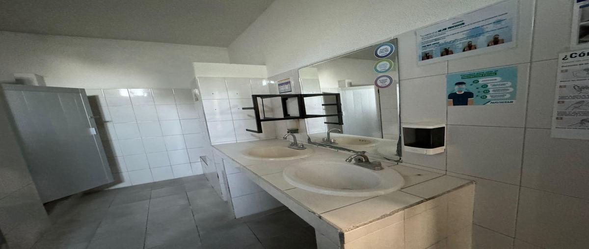 Foto de bodega en renta en  , jardines de monterrey i, apodaca, nuevo león, 28762863 No. 05