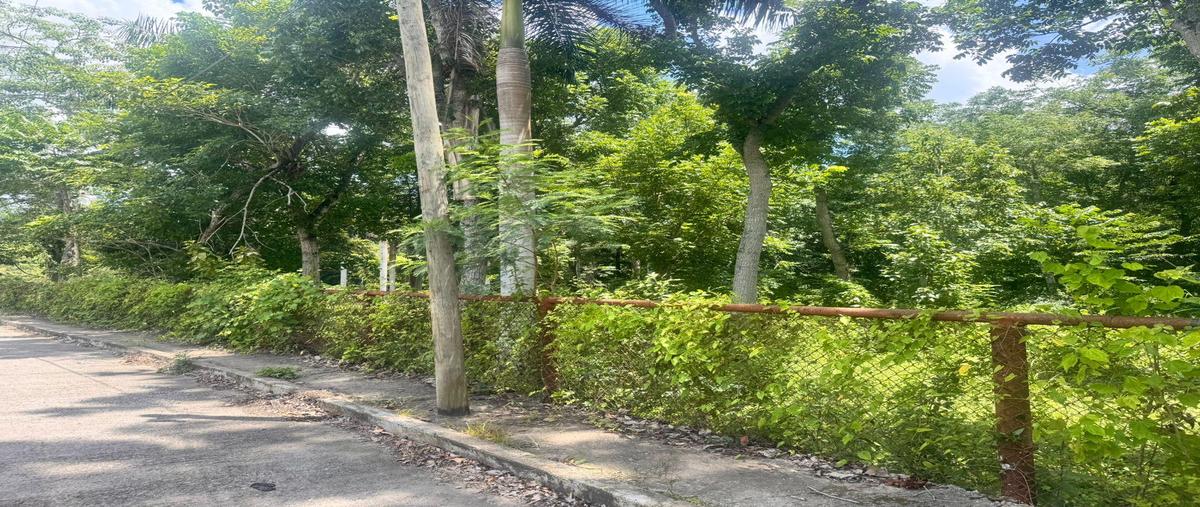 Foto de terreno habitacional en venta en  , jardines de poza rica, poza rica de hidalgo, veracruz de ignacio de la llave, 30194050 No. 04