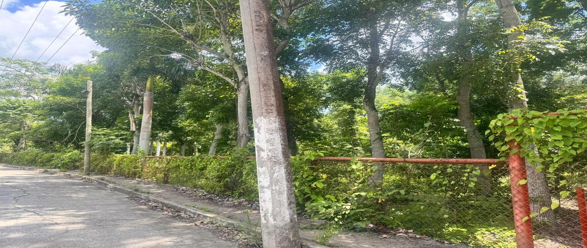 Foto de terreno habitacional en venta en  , jardines de poza rica, poza rica de hidalgo, veracruz de ignacio de la llave, 30194050 No. 05