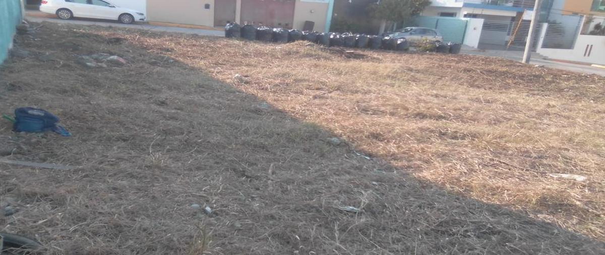 Foto de terreno habitacional en venta en  , jardines de poza rica, poza rica de hidalgo, veracruz de ignacio de la llave, 30216640 No. 04