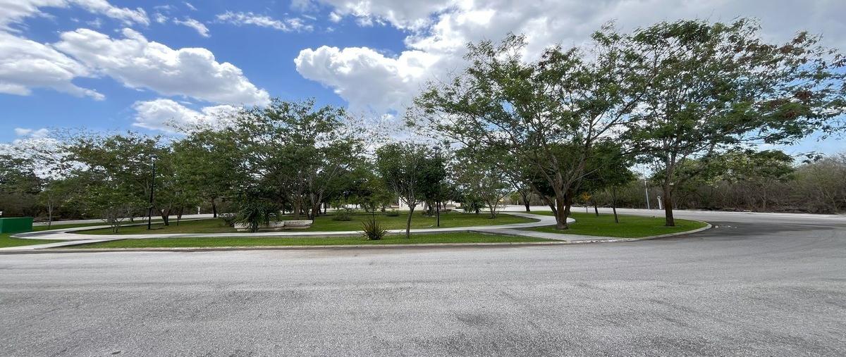 Foto de terreno habitacional en venta en jardines de rejoyada , jardines de rejoyada, mérida, yucatán, 0 No. 05