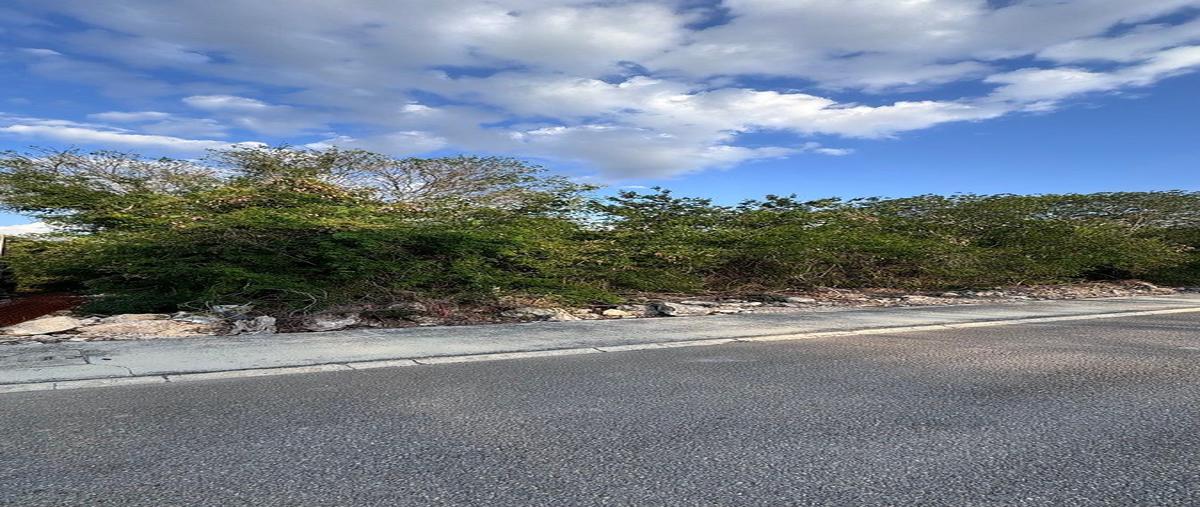 Foto de terreno habitacional en venta en jardines de rejoyada , komchen, mérida, yucatán, 30984356 No. 04