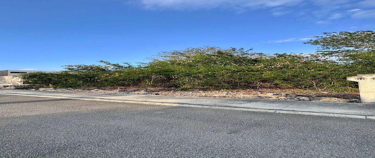 Foto de terreno habitacional en venta en jardines de rejoyada , komchen, mérida, yucatán, 30984356 No. 05