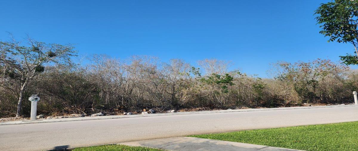 Foto de terreno habitacional en venta en  , jardines de rejoyada, mérida, yucatán, 27951384 No. 04