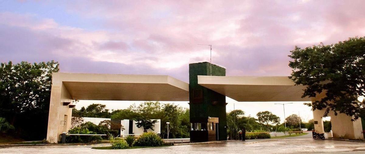 Foto de terreno habitacional en venta en  , jardines de rejoyada, mérida, yucatán, 30732584 No. 03