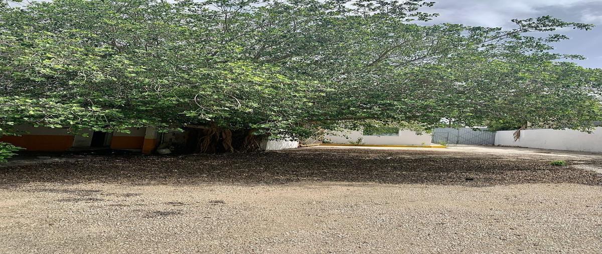Foto de terreno habitacional en renta en  , jardines de san sebastian, mérida, yucatán, 0 No. 07