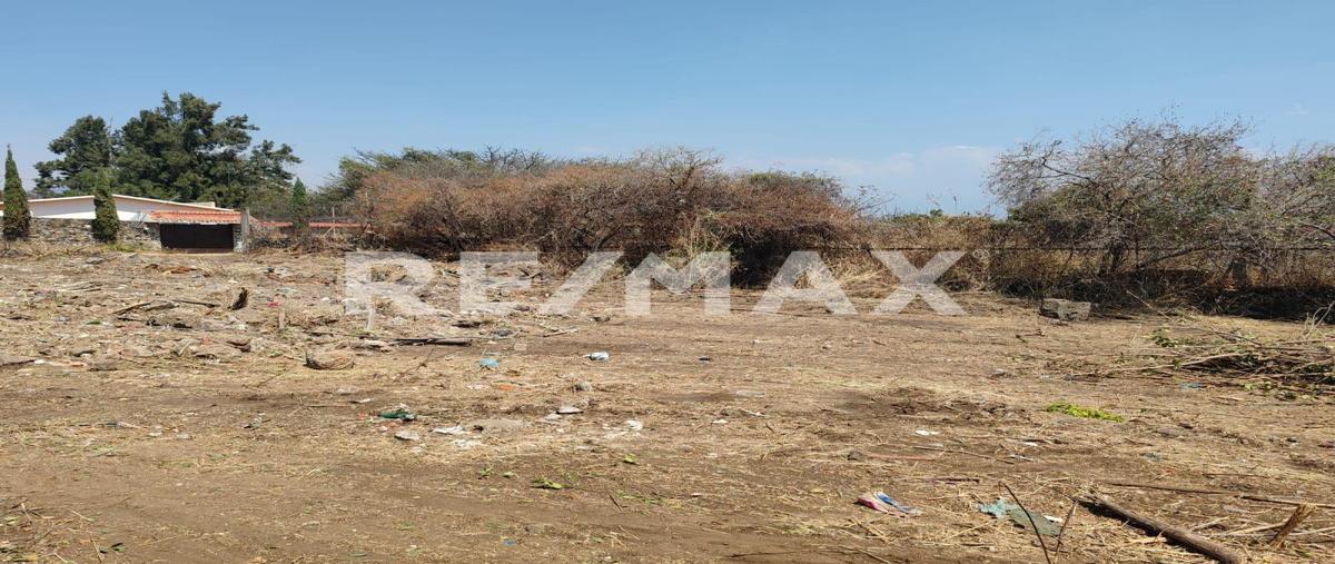 Foto de terreno habitacional en venta en jardines de tlayacapan , jardines de tlayacapan, tlayacapan, morelos, 0 No. 04