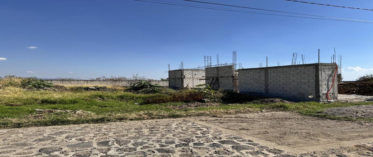 Foto de terreno habitacional en venta en  , jardines de tlayacapan, tlayacapan, morelos, 29348470 No. 03