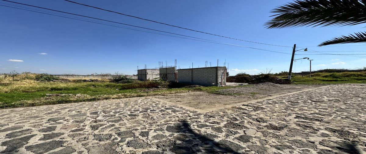 Foto de terreno habitacional en venta en  , jardines de tlayacapan, tlayacapan, morelos, 29348470 No. 05