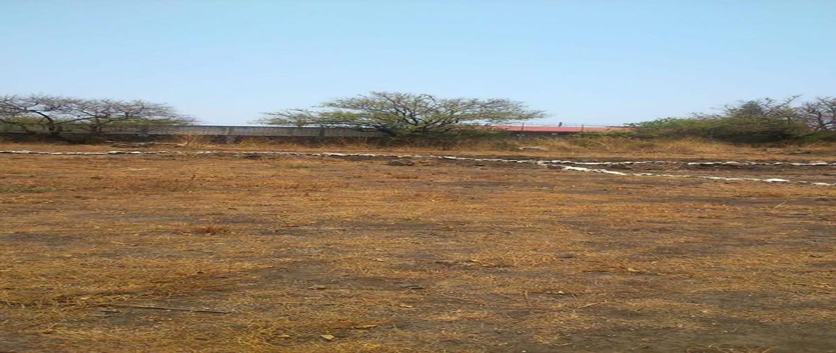 Foto de terreno habitacional en venta en jardines de tlayacapan whi310432, jardines de tlayacapan, tlayacapan, morelos, 0 No. 03
