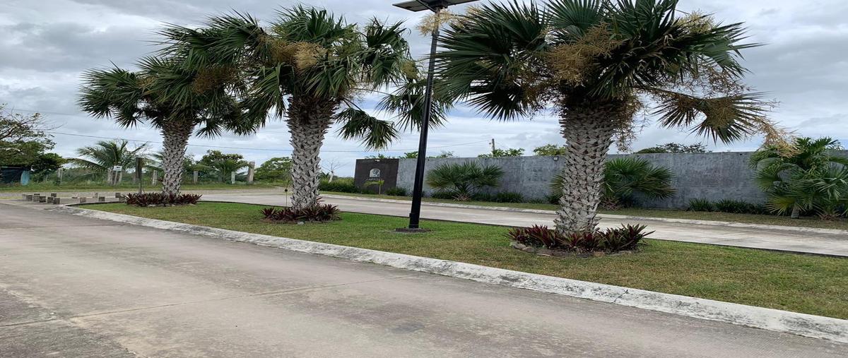 Foto de terreno habitacional en venta en  , jardines de tuxpan, tuxpan, veracruz de ignacio de la llave, 29015204 No. 04