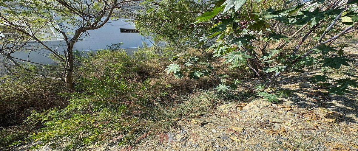 Foto de terreno habitacional en jardines de vallealto s/n64989 monterreyn.l. , valle alto, monterrey, nuevo león, 30866258 foto 05 Foto de terreno habitacional en venta en jardines de vallealto s/n64989 monterreyn.l. , valle alto, monterrey, nuevo león, 30866258 No. 05