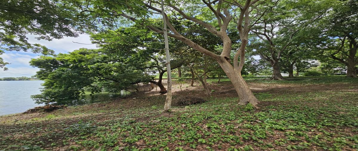 Foto de terreno habitacional en , jardines de villahermosa, centro, tabasco, 0 foto 04 Foto de terreno habitacional en venta en , jardines de villahermosa, centro, tabasco, 0 No. 04