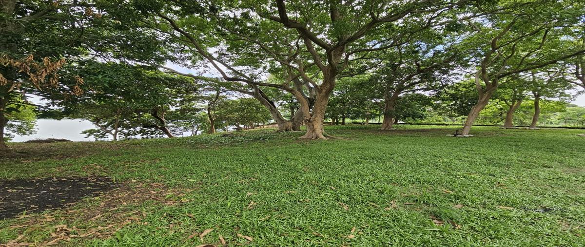 Foto de terreno habitacional en , jardines de villahermosa, centro, tabasco, 0 foto 05 Foto de terreno habitacional en venta en , jardines de villahermosa, centro, tabasco, 0 No. 05