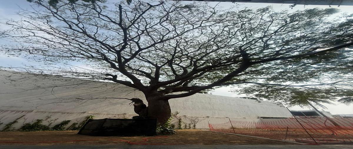 Foto de casa en venta en  , jardines de virginia, boca del río, veracruz de ignacio de la llave, 0 No. 04