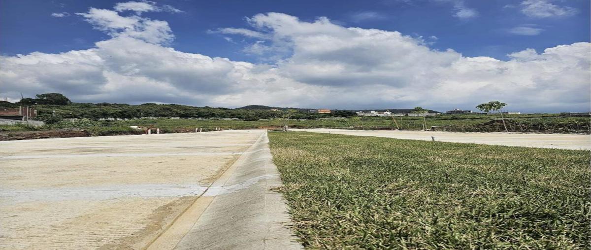 Foto de terreno habitacional en venta en  , jardines de zoquipa, cuernavaca, morelos, 0 No. 04