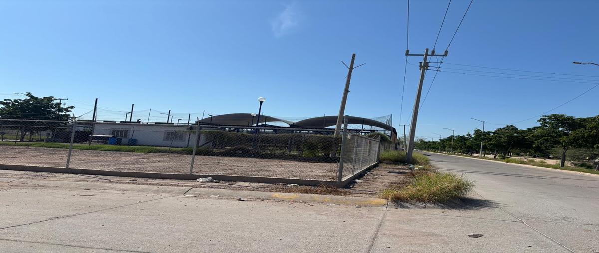 Foto de terreno habitacional en renta en  , jardines del country, ahome, sinaloa, 0 No. 03