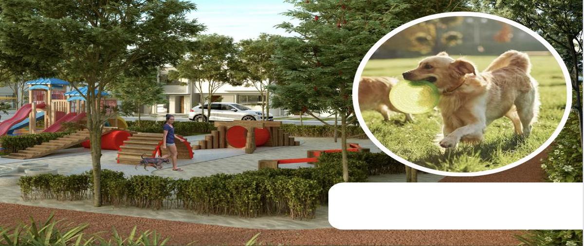 Foto de terreno habitacional en , jardines del lago, aguascalientes, aguascalientes, 27786531 foto 05 Foto de terreno habitacional en venta en , jardines del lago, aguascalientes, aguascalientes, 27786531 No. 05