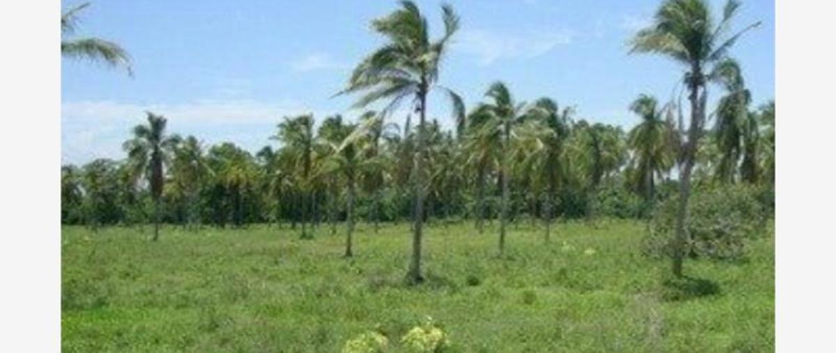 Foto de rancho en , jardines del llano, coquimatlán, colima, 11500805 foto 01 Foto de rancho en venta en , jardines del llano, coquimatlán, colima, 11500805 No. 01