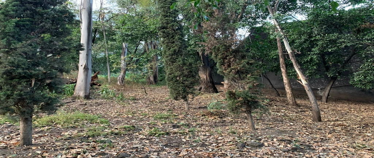 Foto de terreno habitacional en venta en  , jardines del pedregal, álvaro obregón, df / cdmx, 23519364 No. 03