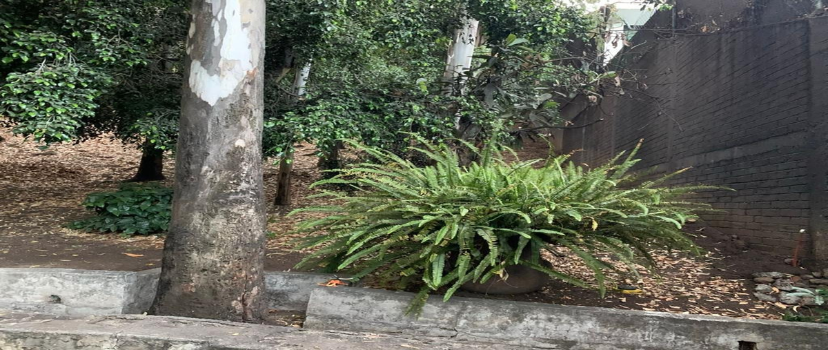 Foto de terreno habitacional en venta en  , jardines del pedregal, álvaro obregón, df / cdmx, 23519364 No. 05