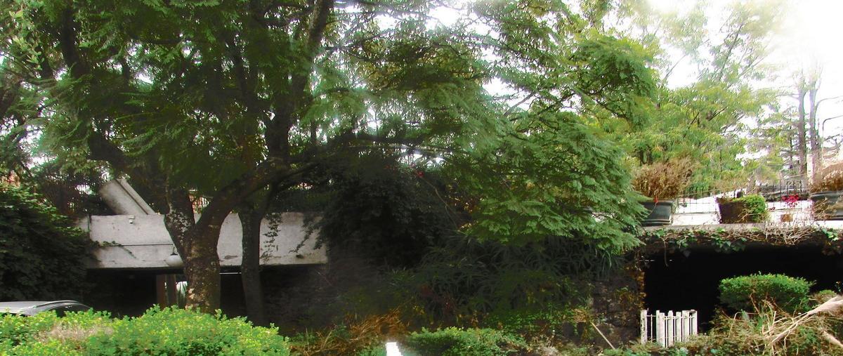 Foto de terreno habitacional en venta en  , jardines del pedregal, álvaro obregón, df / cdmx, 26696532 No. 05