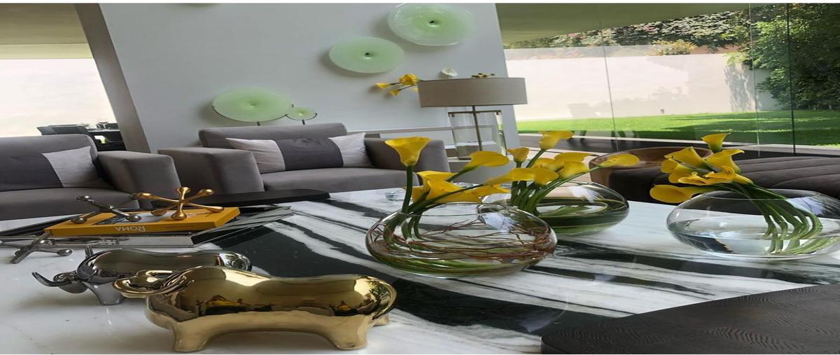 Foto de casa en venta en  , jardines del pedregal, álvaro obregón, df / cdmx, 0 No. 05