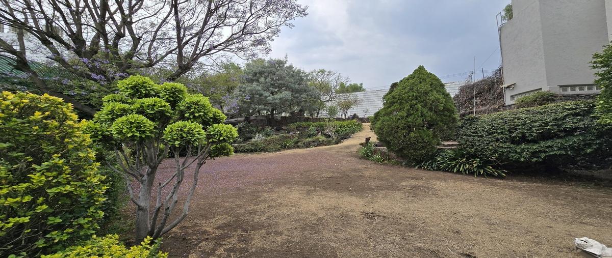 Foto de casa en venta en  , jardines del pedregal, álvaro obregón, df / cdmx, 29691153 No. 04