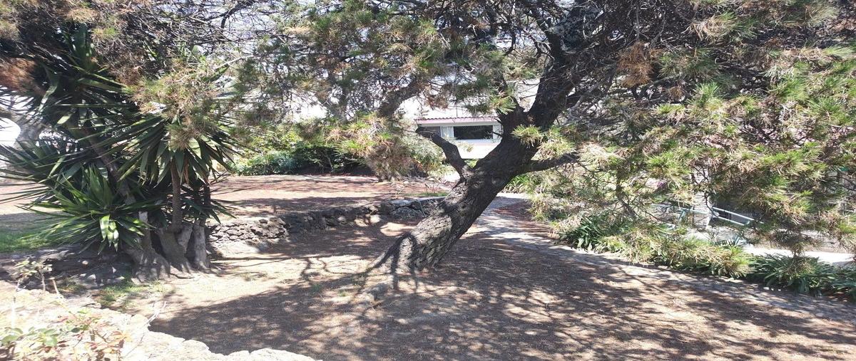 Foto de terreno habitacional en venta en  , jardines del pedregal, álvaro obregón, df / cdmx, 29709866 No. 03