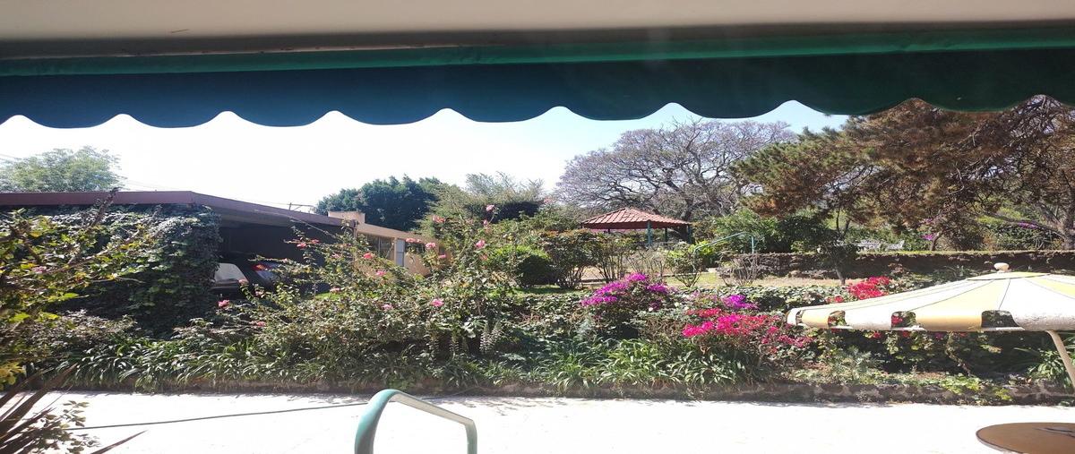 Foto de terreno habitacional en venta en  , jardines del pedregal, álvaro obregón, df / cdmx, 29709866 No. 05