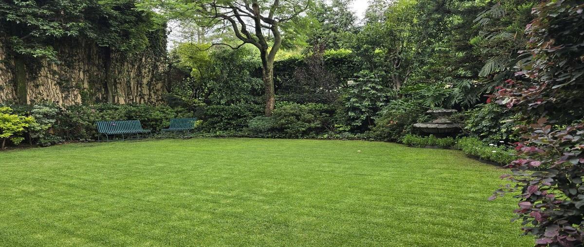 Foto de casa en venta en  , jardines del pedregal, álvaro obregón, df / cdmx, 30009782 No. 04