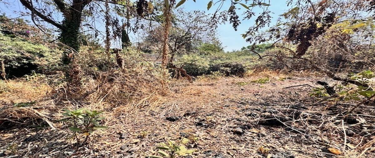 Foto de terreno habitacional en , jardines del pedregal, álvaro obregón, df / cdmx, 30185026 foto 07 Foto de terreno habitacional en venta en , jardines del pedregal, álvaro obregón, df / cdmx, 30185026 No. 07